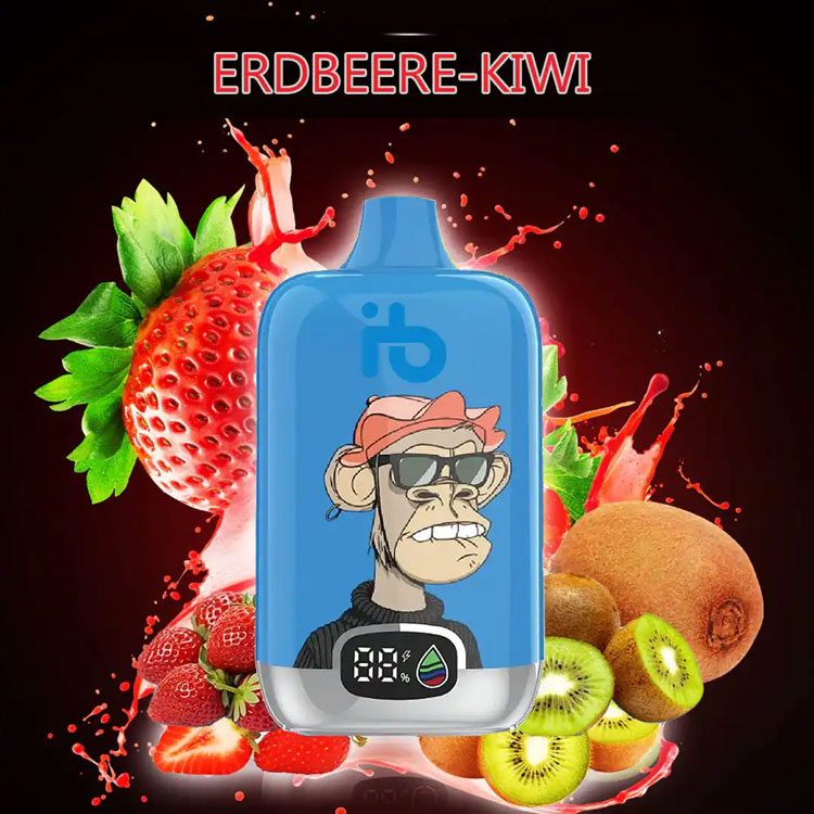 Cigarrillo electrónico marcas im Vergleich ist e Zigarette weniger schädlich für die Gesundheit