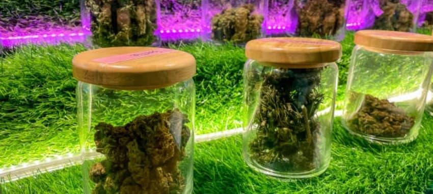 E-Zigaretten Shop entdecken und die besten e-zigaretten aromen für Ihr Dampferlebnis finden E-Zigaretten Shop entdecken und die besten e-zigaretten aromen für Ihr Dampferlebnis finden